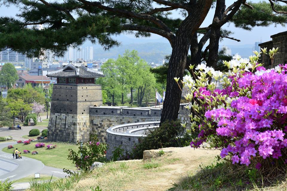 Forteresse de Suwon Corée du Sud