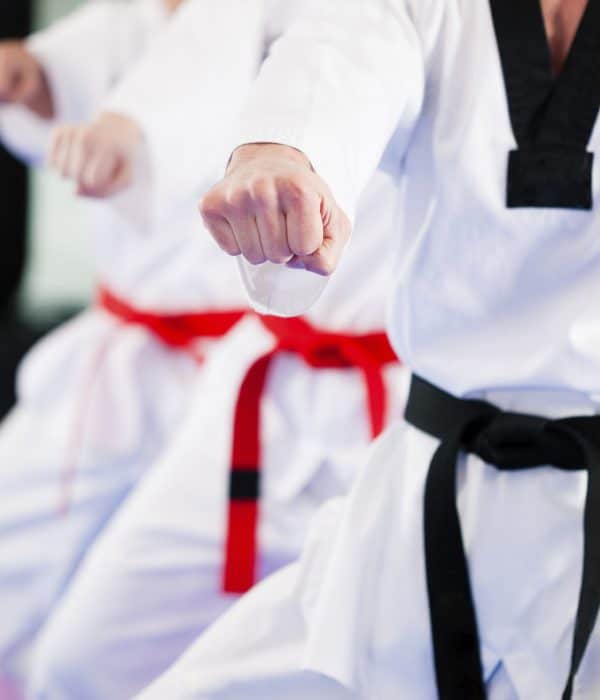 Taekwondo Corée du Sud