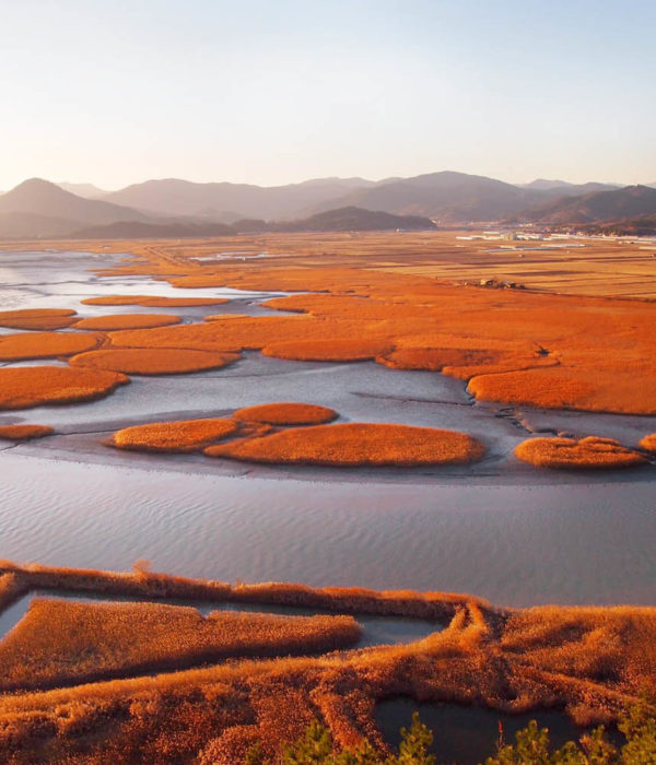 Baie de Suncheon Corée du Sud