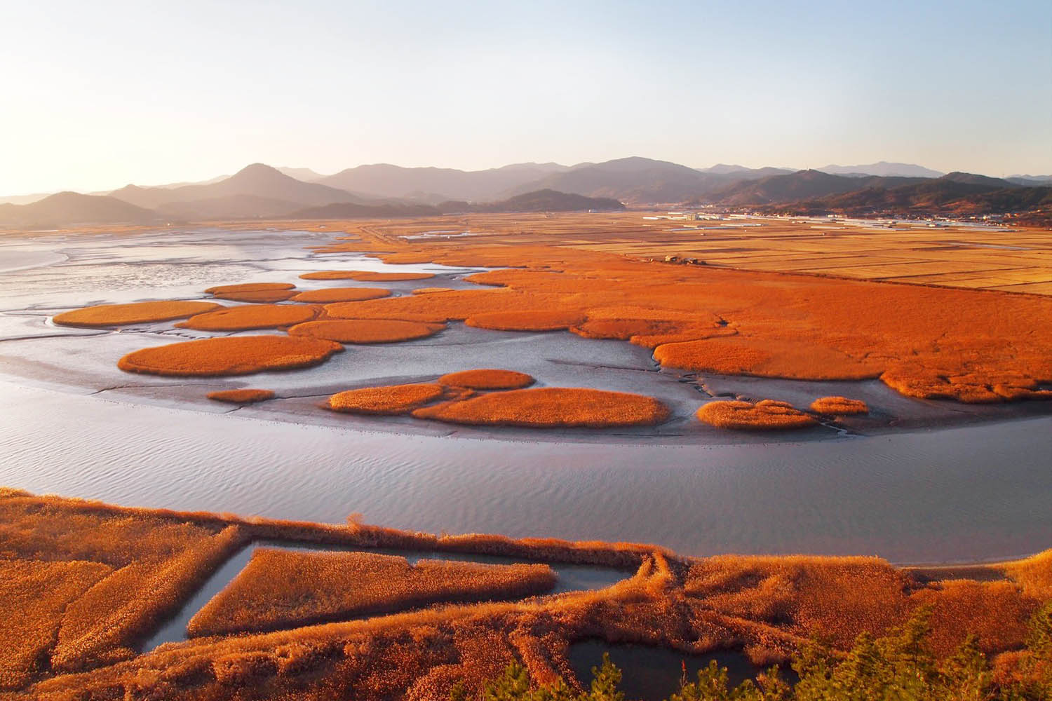 Baie de Suncheon Corée du Sud