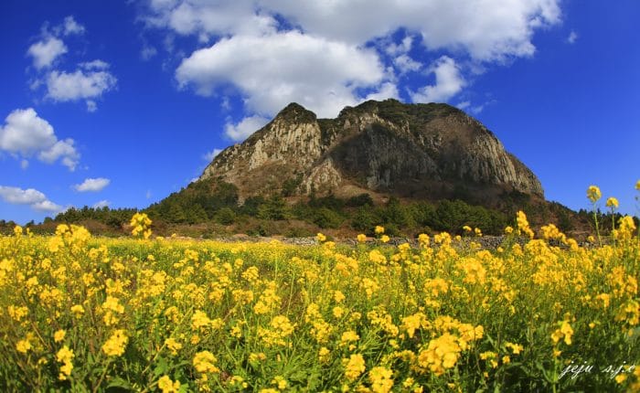 Montagne Sanbangsan ile de Jeju Corée du Sud