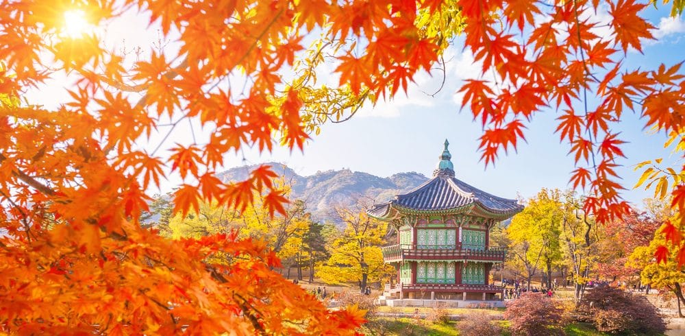 Séoul en automne Corée du Sud
