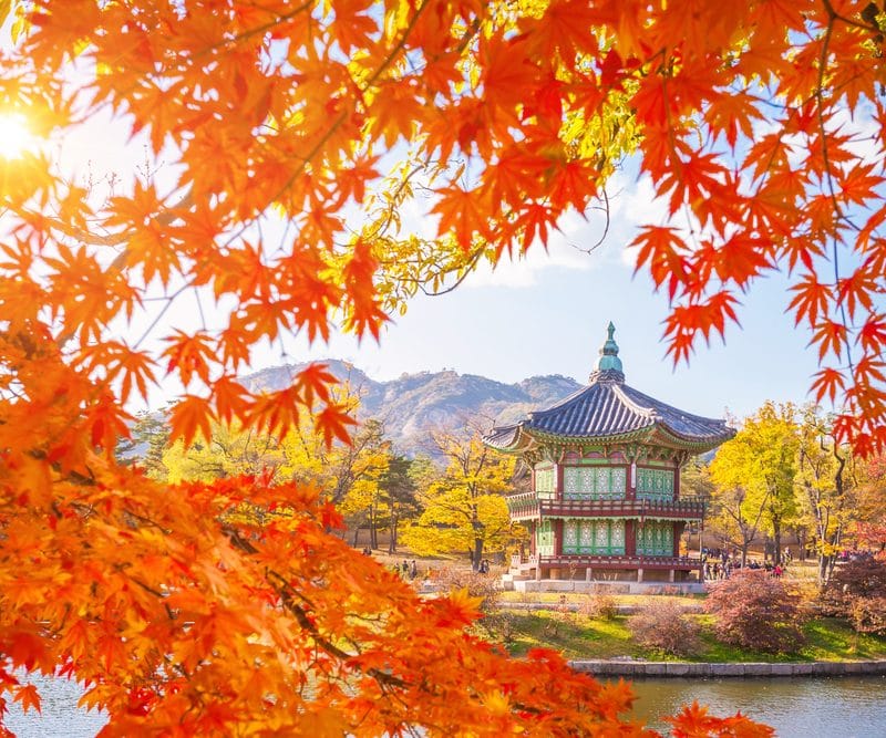 Séoul en automne Corée du Sud