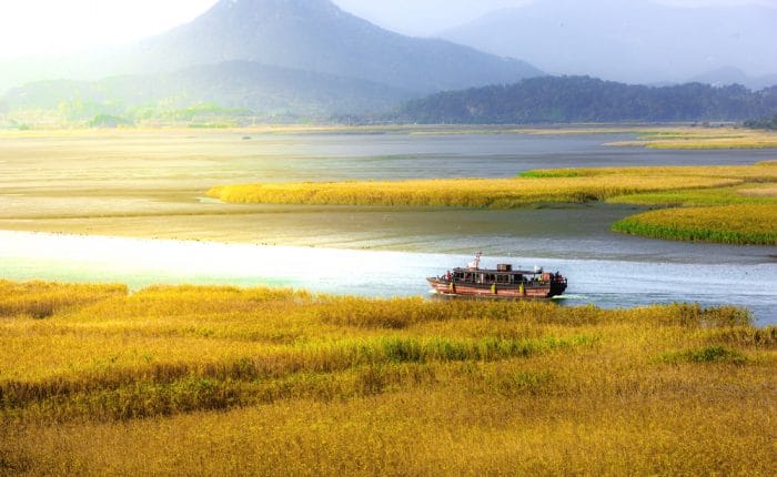 Baie de Suncheon Corée du Sud