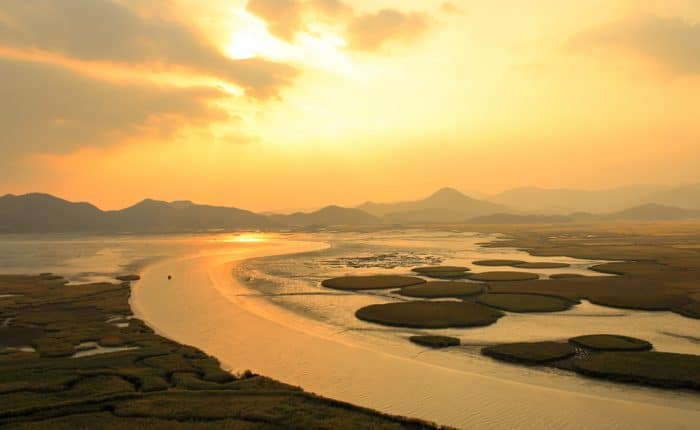 Baie de Suncheon Corée du Sud