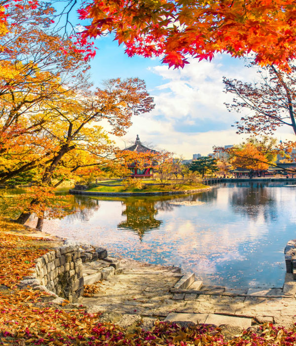 voyage coree automne