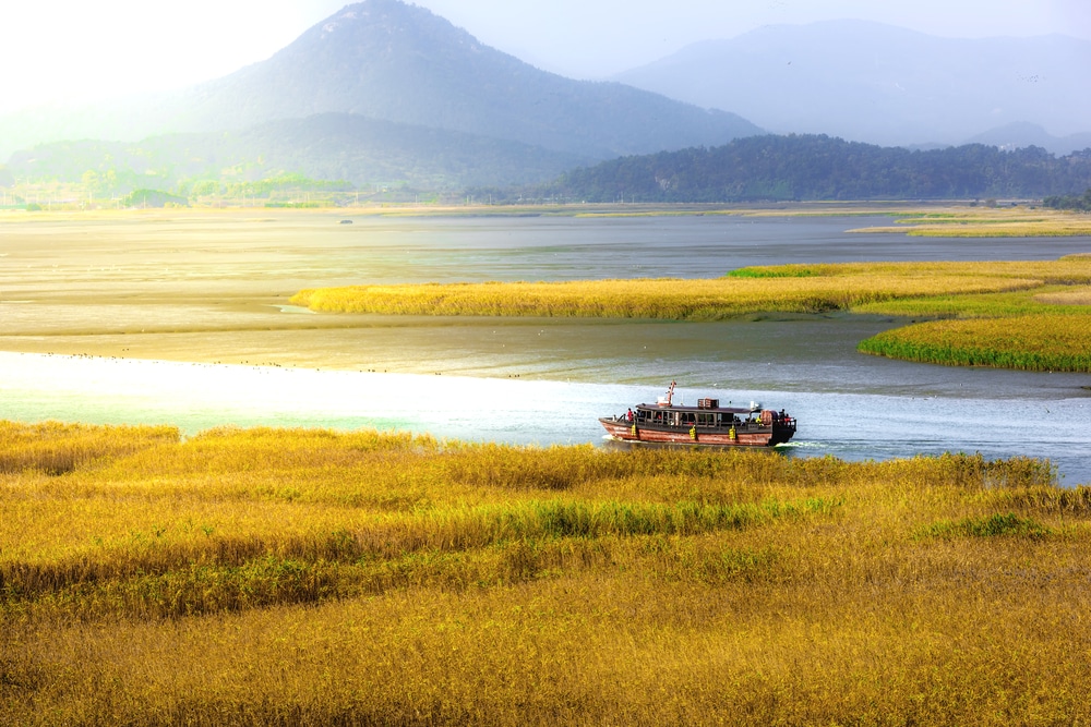 Baie de Suncheon Corée du Sud