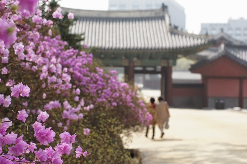 Palais de Chandeok Corée du Sud