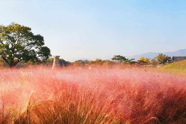 Gyeongju Observatoire de Cheomseongdae