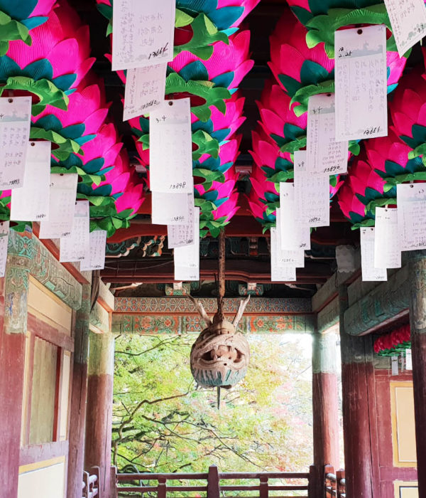 ami local gyeongju