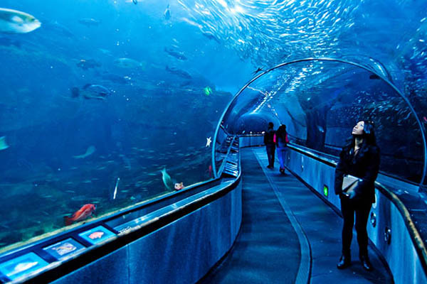 aquarium busan