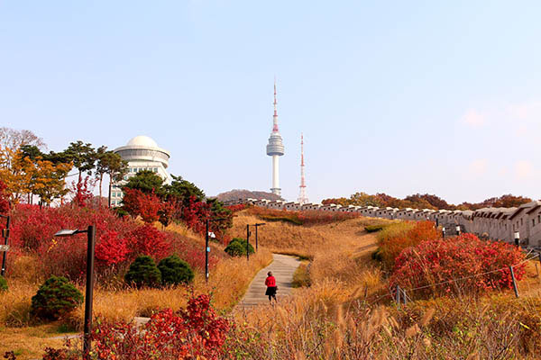 seoul namsan muraille