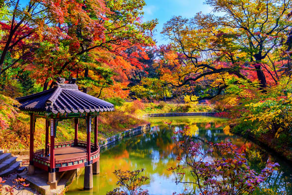 Seoul palais Changdeokgung jardin secret automne