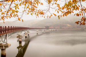 andong pont woryeongyo