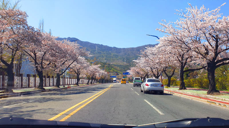 conduire en coree du sud