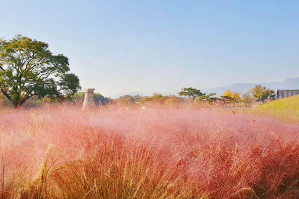gyeongju observatoire cheongseongdae