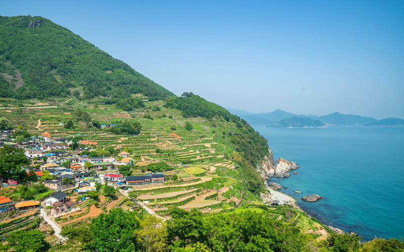 Namhae_rizieres