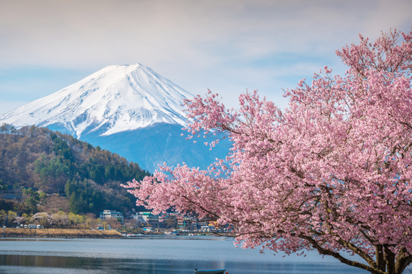 Japon mont fuji