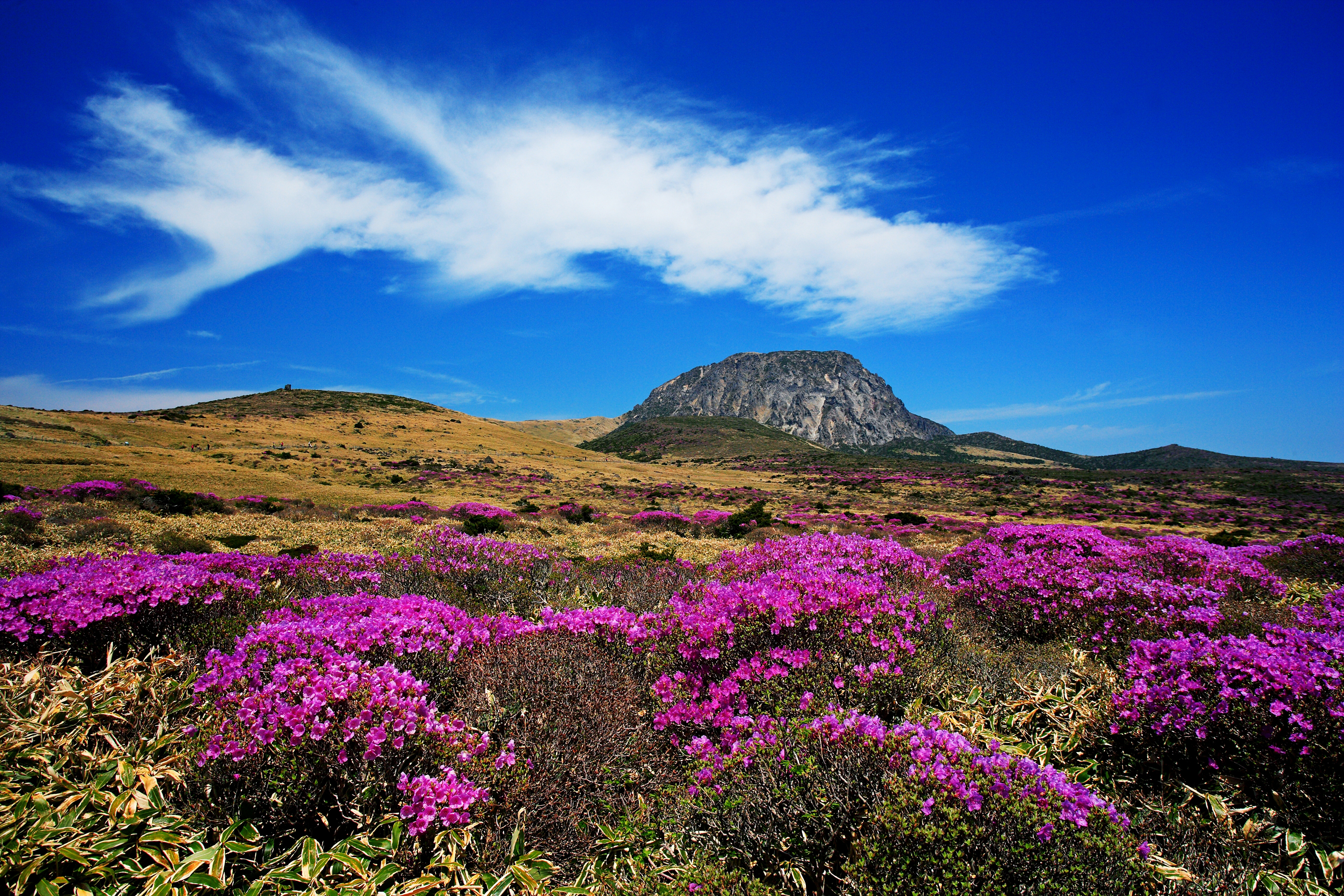 mont hallasan jeju